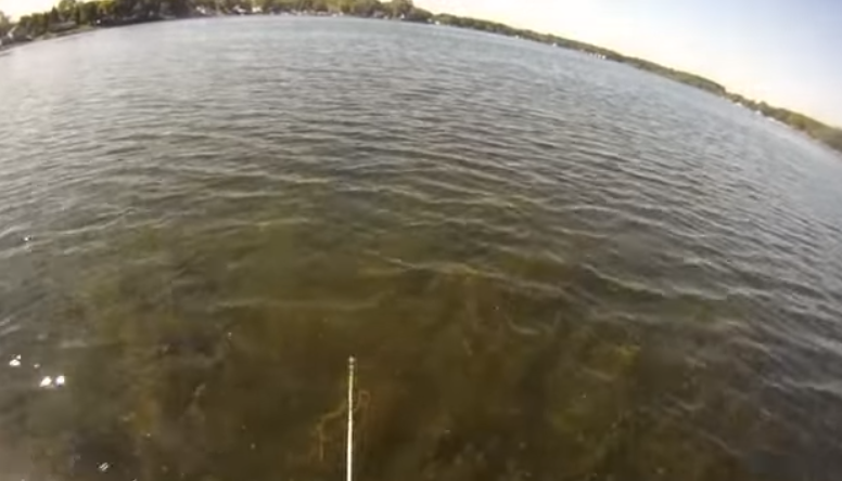 The WeedGator® Weed Cutter in Action! Customer Demo