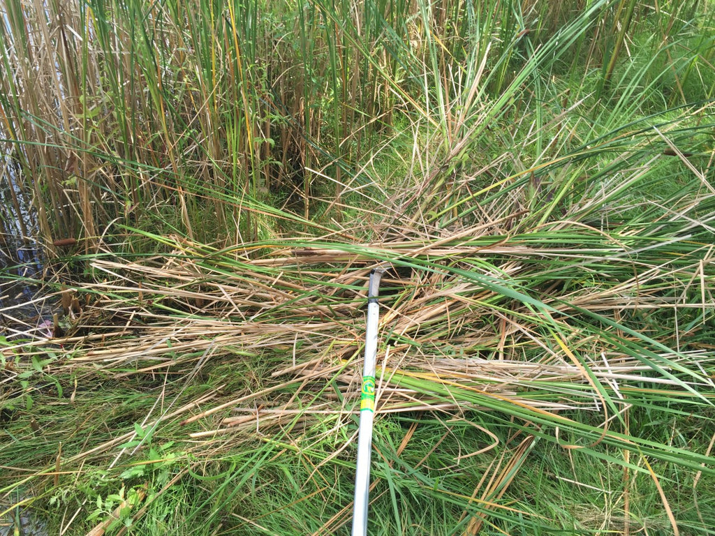 How to Keep Your Cattail Cutter Pro Razor Sharp: A Complete Guide